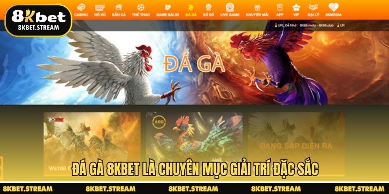 Đá gà 8KBET là chuyên mục giải trí đặc sắc